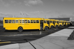 Busparade_wp