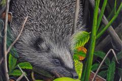K1024_Kalteanthaler_Igel